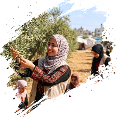 مبادرة-جد-الزيتون